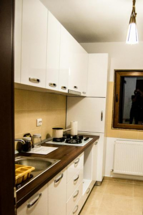 Apartament Harmony Mamaia Sat
